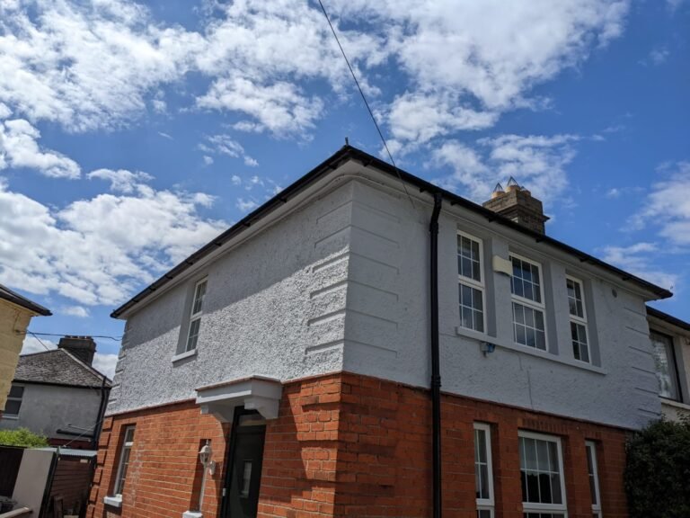 Exterior house painting